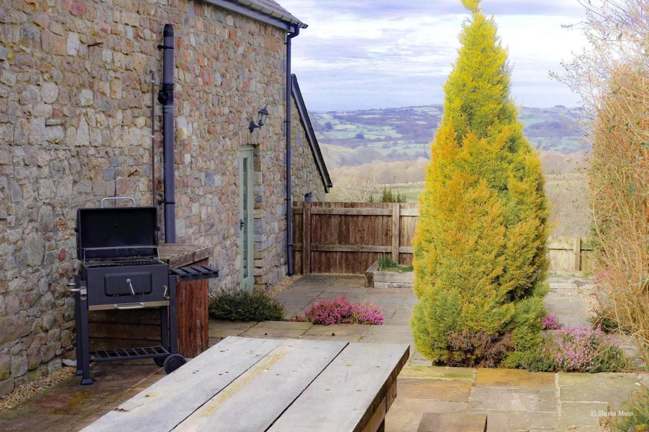 Villa Rhiwddu Barns à Llangadog Extérieur photo